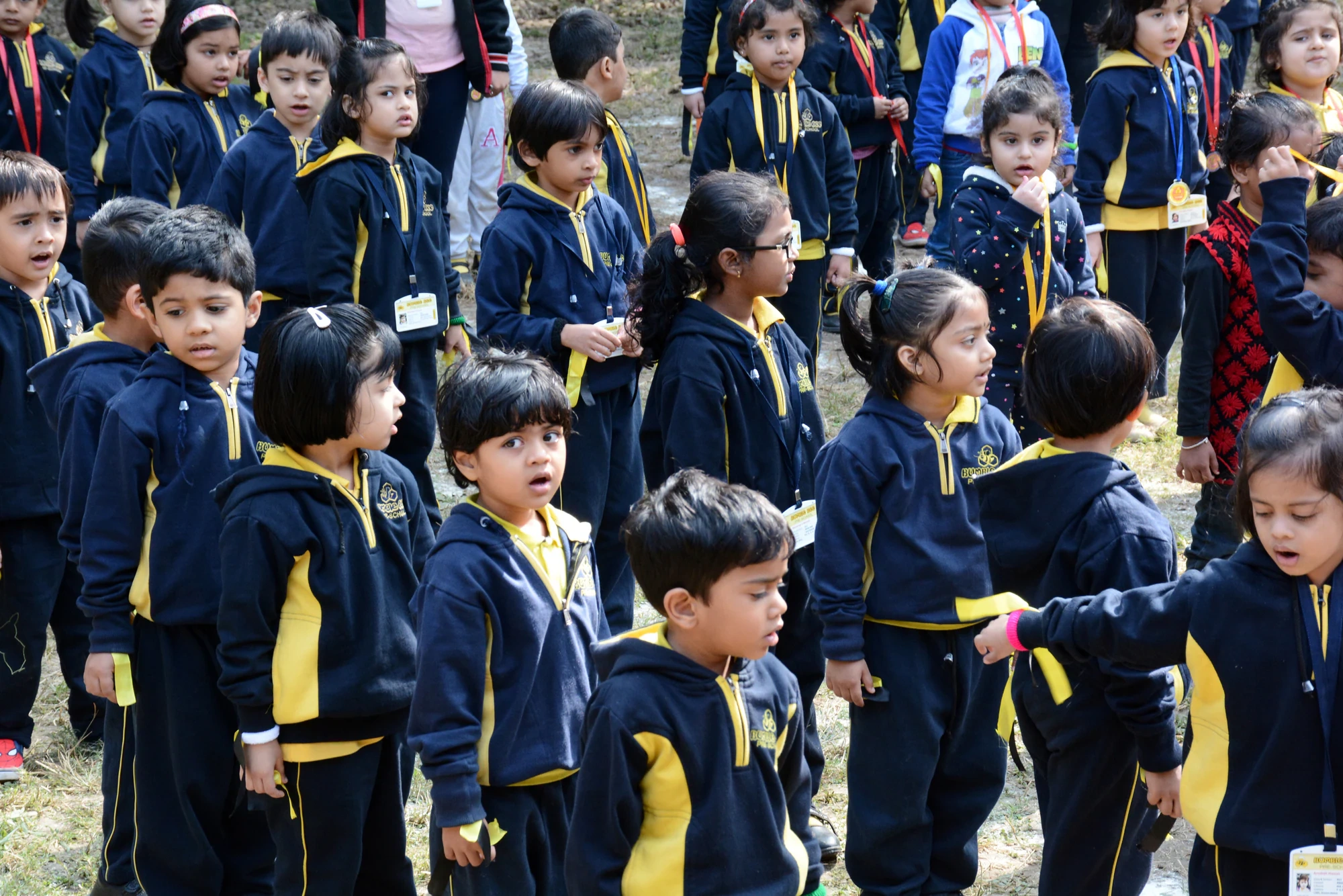 Bumble Bee - Pre School